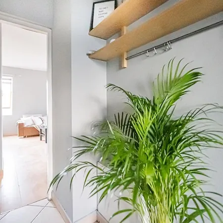 Niceone Number 7 - W Samym Centrum! Апартаменти *